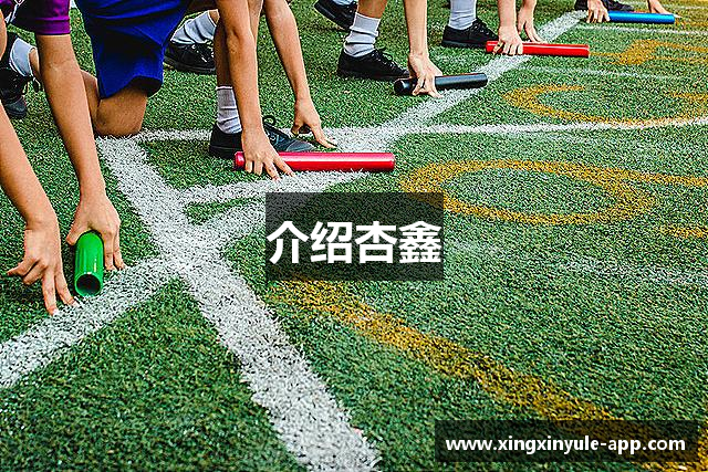 介绍杏鑫